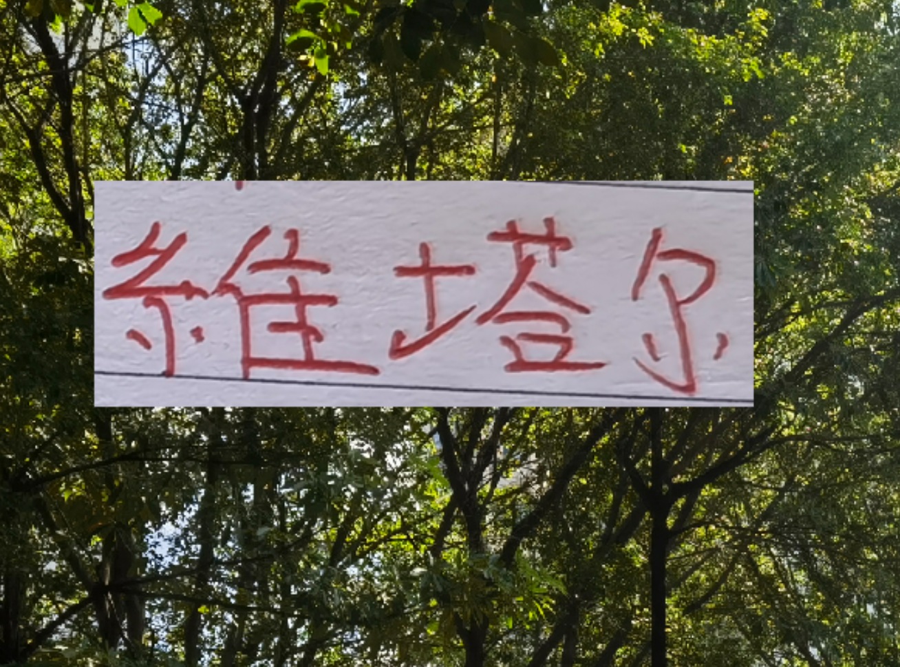 开云体育下载-上个赛季中超前4的十号 就海港10号维塔尔助攻最多 出场也最多